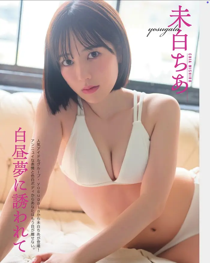 치아 미시로 플래시 2025년 11일호