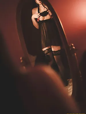 포동포동한 고양이