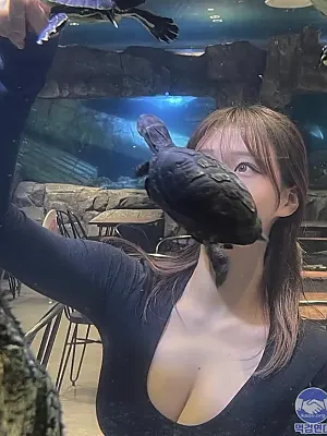 수족관에서 예쁜 사진 찍기 힘든 이유